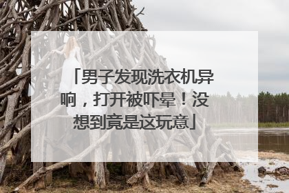 男子发现洗衣机异响，打开被吓晕！没想到竟是这玩意