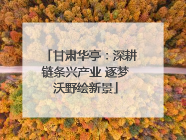 甘肃华亭：深耕链条兴产业 逐梦沃野绘新景