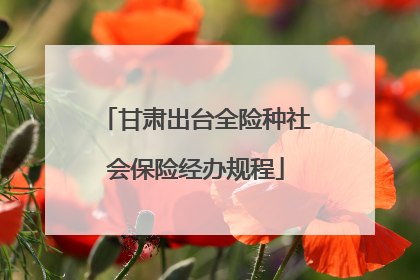 甘肃出台全险种社会保险经办规程