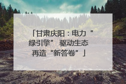 甘肃庆阳：电力“绿引擎” 驱动生态再造“新答卷”
