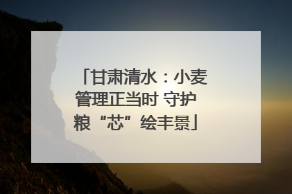 甘肃清水：小麦管理正当时 守护粮“芯”绘丰景
