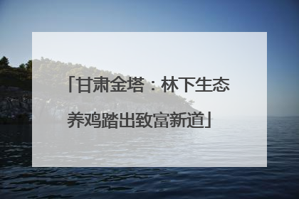 甘肃金塔：林下生态养鸡踏出致富新道