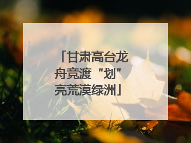 甘肃高台龙舟竞渡“划”亮荒漠绿洲