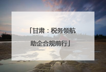 甘肃：税务领航 助企合规前行