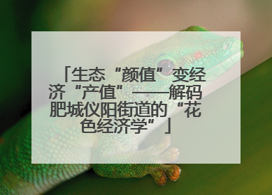 生态“颜值”变经济“产值”——解码肥城仪阳街道的“花色经济学”