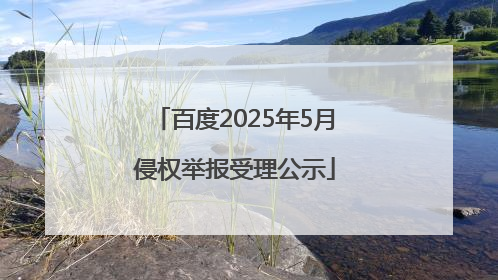 百度2025年5月侵权举报受理公示