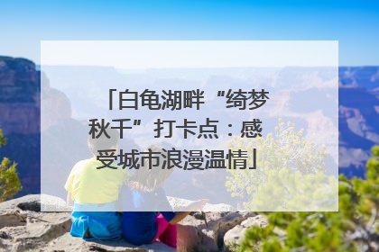 白龟湖畔“绮梦秋千”打卡点：感受城市浪漫温情