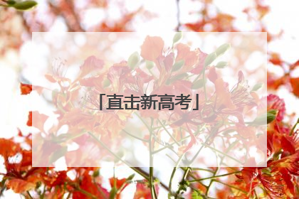 直击新高考