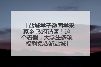 盐城学子邀同学来家乡 政府请客！这个暑假，大学生多项福利免费游盐城