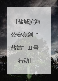 盐城滨海公安亮剑“盐靖”Ⅱ号行动