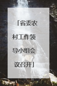 省委农村工作领导小组会议召开