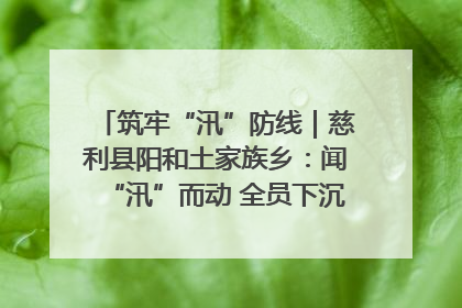 筑牢“汛”防线｜慈利县阳和土家族乡：闻“汛”而动 全员下沉筑牢防汛“安全堤”
