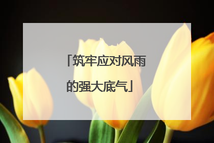 筑牢应对风雨的强大底气