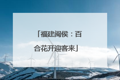 福建闽侯：百合花开迎客来