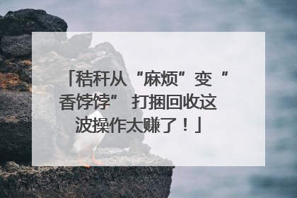 秸秆从“麻烦”变“香饽饽” 打捆回收这波操作太赚了！