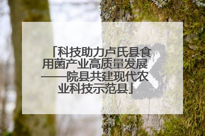 科技助力卢氏县食用菌产业高质量发展——院县共建现代农业科技示范县