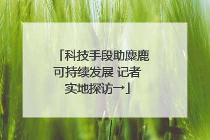科技手段助麋鹿可持续发展 记者实地探访→