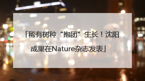 稀有树种“抱团”生长！沈阳成果在Nature杂志发表