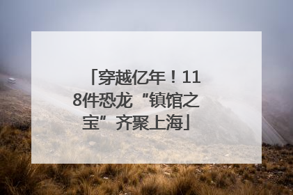 穿越亿年！118件恐龙“镇馆之宝”齐聚上海