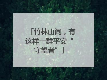 竹林山间，有这样一群平安“守望者”