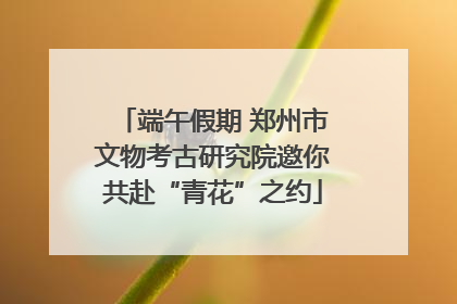 端午假期 郑州市文物考古研究院邀你共赴“青花”之约
