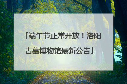 端午节正常开放！洛阳古墓博物馆最新公告