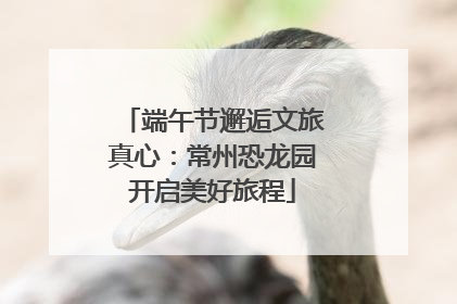 端午节邂逅文旅真心：常州恐龙园开启美好旅程
