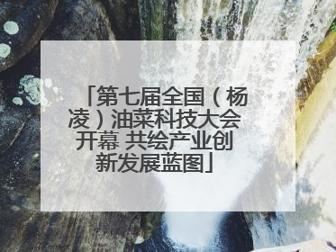 第七届全国（杨凌）油菜科技大会开幕 共绘产业创新发展蓝图