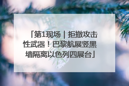 第1现场｜拒撤攻击性武器！巴黎航展竖黑墙隔离以色列四展台