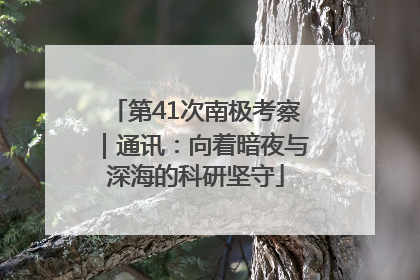 第41次南极考察｜通讯：向着暗夜与深海的科研坚守