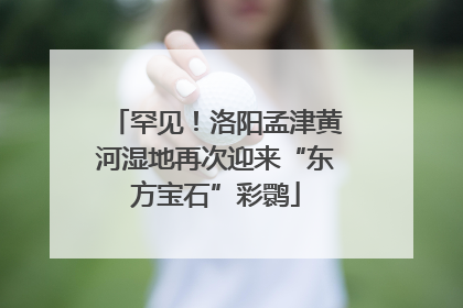 罕见！洛阳孟津黄河湿地再次迎来“东方宝石”彩鹮