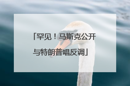 罕见！马斯克公开与特朗普唱反调