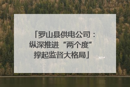 罗山县供电公司：纵深推进“两个度” 撑起监督大格局