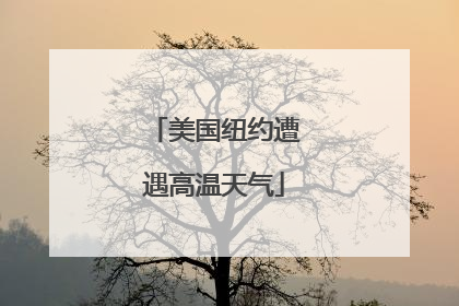 美国纽约遭遇高温天气