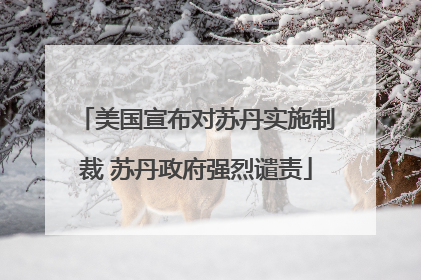 美国宣布对苏丹实施制裁 苏丹政府强烈谴责