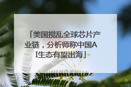 美国搅乱全球芯片产业链，分析师称中国AI生态有望出海