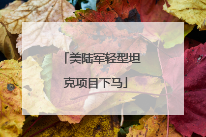 美陆军轻型坦克项目下马