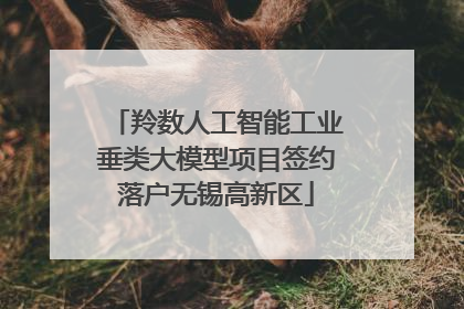 羚数人工智能工业垂类大模型项目签约落户无锡高新区
