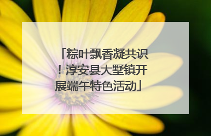 粽叶飘香凝共识！淳安县大墅镇开展端午特色活动