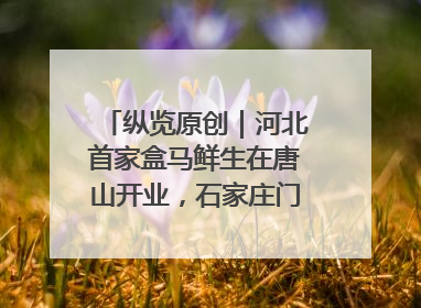 纵览原创｜河北首家盒马鲜生在唐山开业，石家庄门店预计8月开业