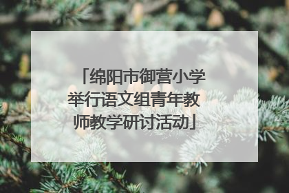 绵阳市御营小学举行语文组青年教师教学研讨活动