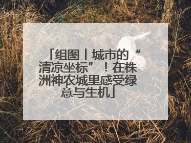组图丨城市的“清凉坐标”！在株洲神农城里感受绿意与生机