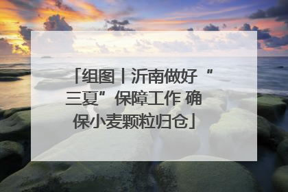 组图丨沂南做好“三夏”保障工作 确保小麦颗粒归仓