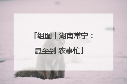 组图丨湖南常宁：夏至到 农事忙