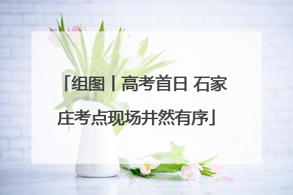 组图丨高考首日 石家庄考点现场井然有序