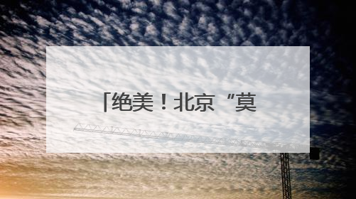 绝美！北京“莫奈睡莲”上线