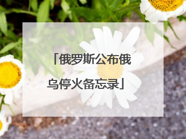 俄罗斯公布俄乌停火备忘录