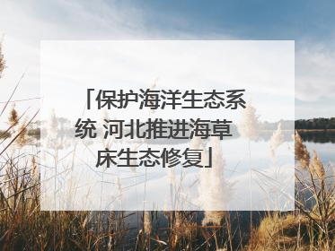 保护海洋生态系统 河北推进海草床生态修复