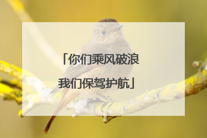 你们乘风破浪 我们保驾护航