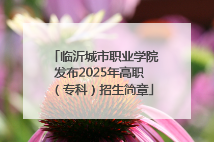 临沂城市职业学院发布2025年高职（专科）招生简章